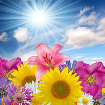 Sunshine bloem gedrukt pasgeboren lente foto achtergronden Art stof achtergrond voor studio kinderen fotografie achtergronden D-9816