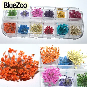 BlueZoo 2016 Nieuwe Collectie Hot 12 Kleuren Echte Droge Gedroogde Bloemen Nail Art Decoraties Nail Sieraden Gratis Verzending