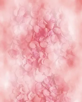 Roze Bloemen Fotografie Achtergrond 3x5ft Wit Cloud Foto Achtergronden voor Studio Digitale Pasgeboren Baby Fotostudio Props